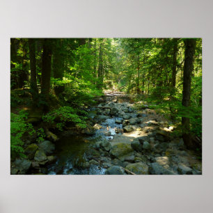 Laughingwater Creek at Mount Rainier National Park Poster
