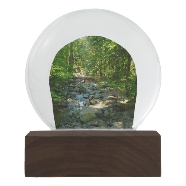 Laughingwater Creek at Mount Rainier National Park Snow Globe (Front)
