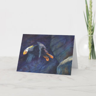 Launch, birders card