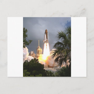 launch with palms postcard