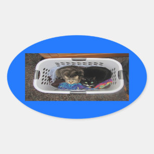 Laundry Basket Kitties Oval Sticker