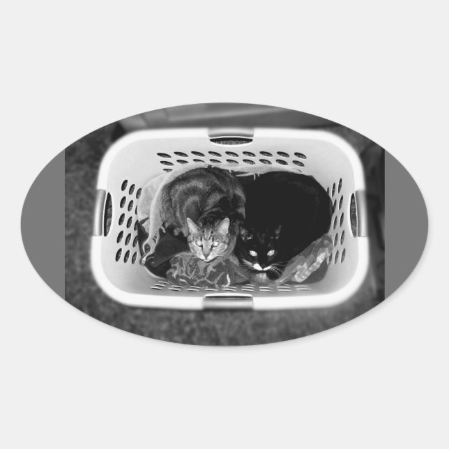 Laundry Basket Kitties Oval Sticker (Front)