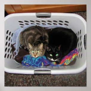 Laundry Basket Kitties Poster