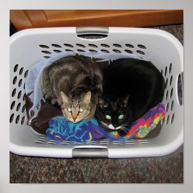 Laundry Basket Kitties Poster (Front)