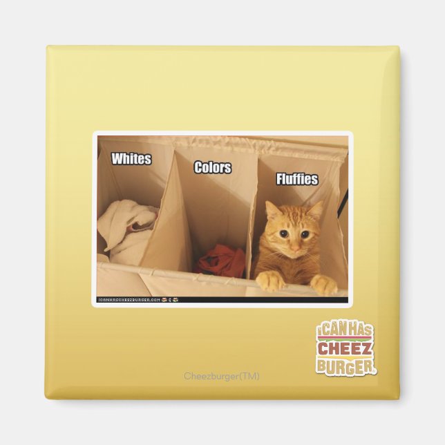 Laundry Cat Magnet (Front)