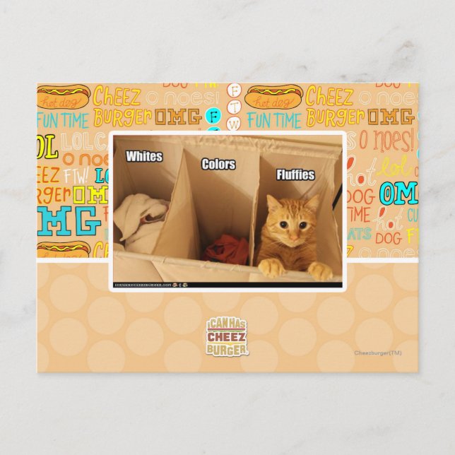 Laundry Cat Postcard (Front)