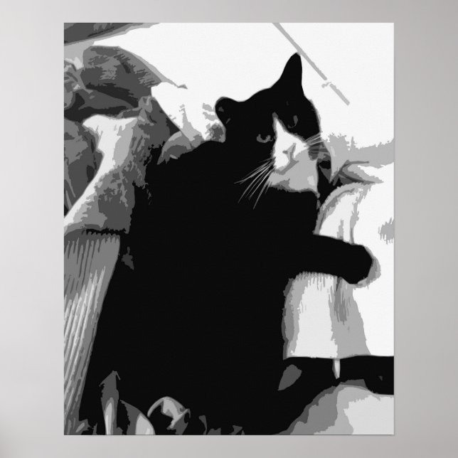Laundry Cat  Poster (Front)