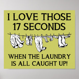 Laundry Day House Cleaning Funny Poster Sign