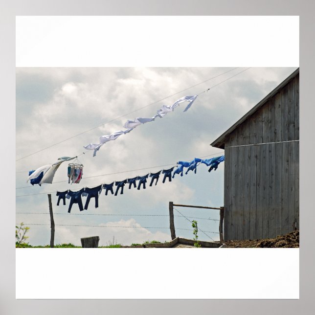 Laundry Day Poster/Print Poster (Front)