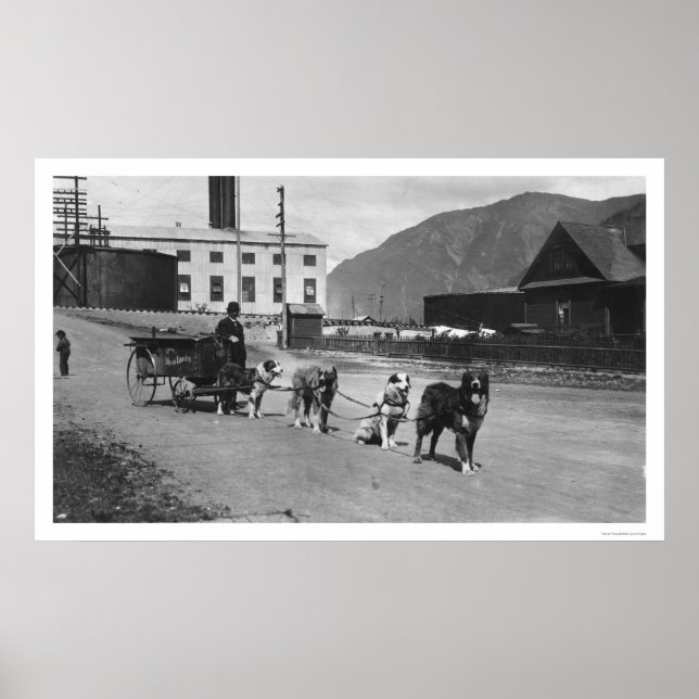 Laundry Dog Team Alaska 1904 Poster (Front)