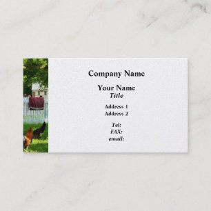 Laundry Hanging on Fence - Platinum Business Card