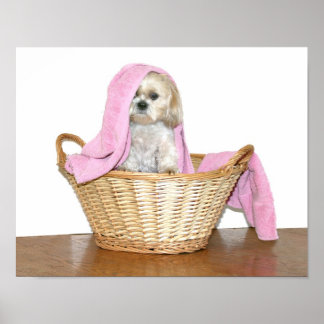 Laundry helper poster