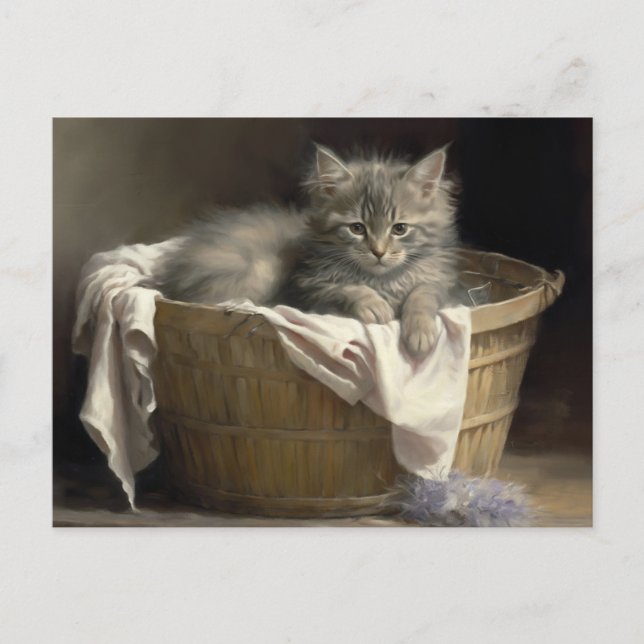 Laundry Or Playtime Grey Kitten Portrait Postcard (Front)