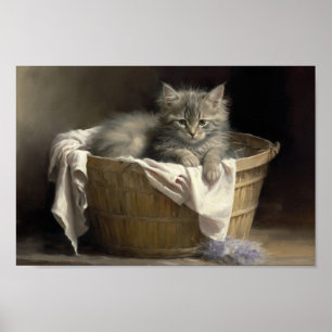 Laundry Or Playtime Grey Kitten Portrait Poster