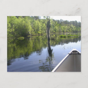 "LAURA S. WALKER STATE PARK" POSTCARD
