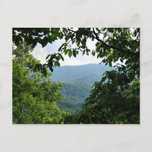 Laurel Falls Postcard