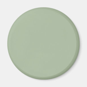 Laurel Green Solid Colour Magnet