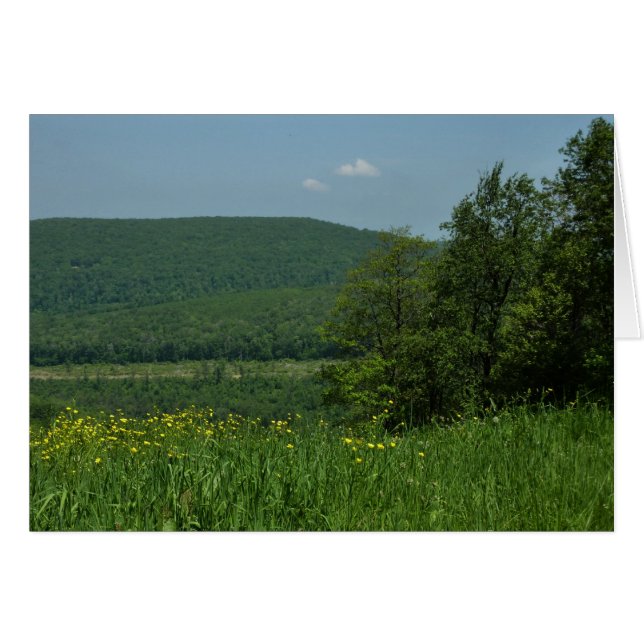 Laurel Highlands Pennsylvania Summer Photography (Front Horizontal)