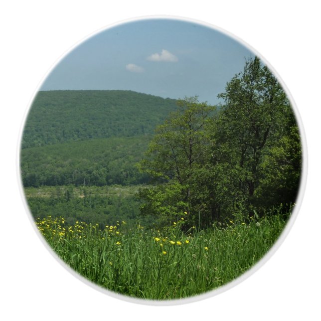 Laurel Highlands Pennsylvania Summer Photography Ceramic Knob (Front)