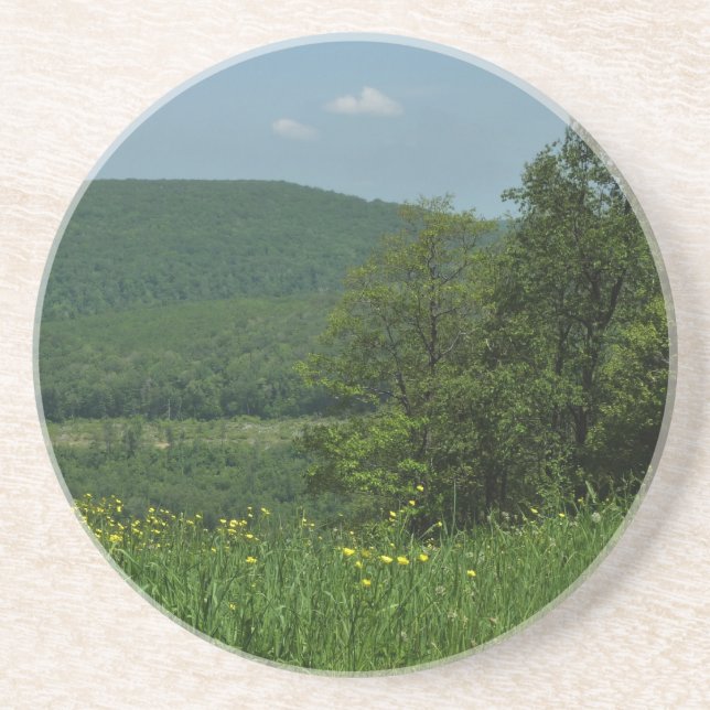 Laurel Highlands Pennsylvania Summer Photography Coaster (Front)