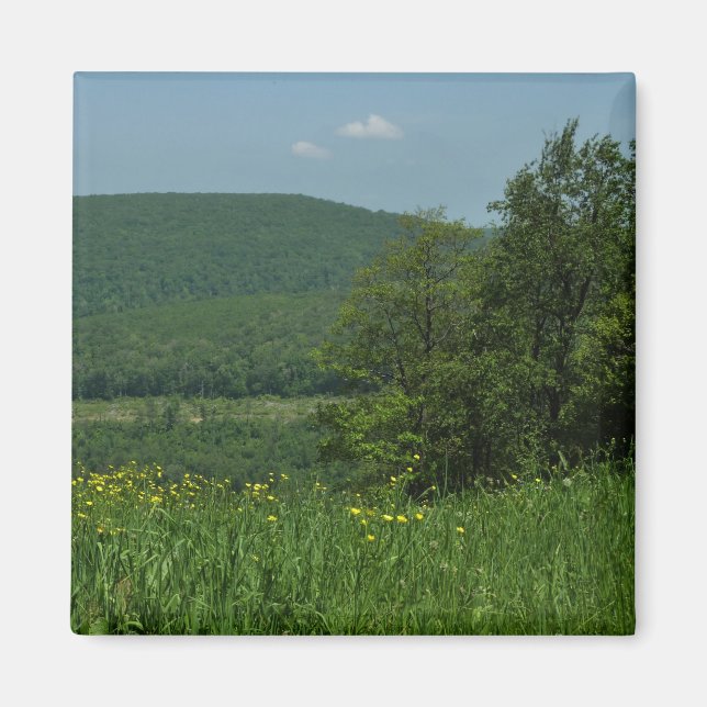 Laurel Highlands Pennsylvania Summer Photography Magnet (Front)