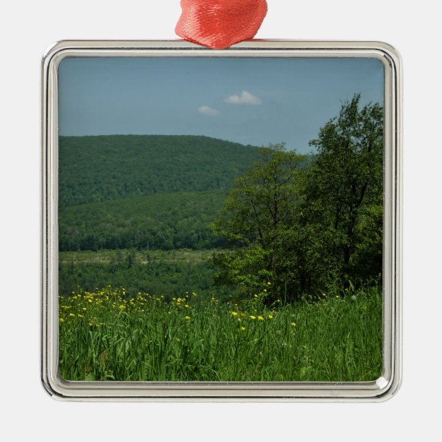 Laurel Highlands Pennsylvania Summer Photography Metal Tree Decoration (Front)