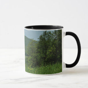 Laurel Highlands Pennsylvania Summer Photography Mug