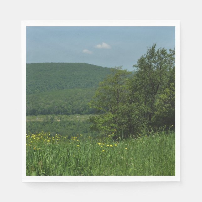 Laurel Highlands Pennsylvania Summer Photography Napkin (Front)