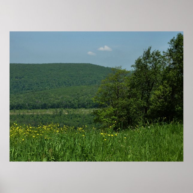 Laurel Highlands Pennsylvania Summer Photography Poster (Front)