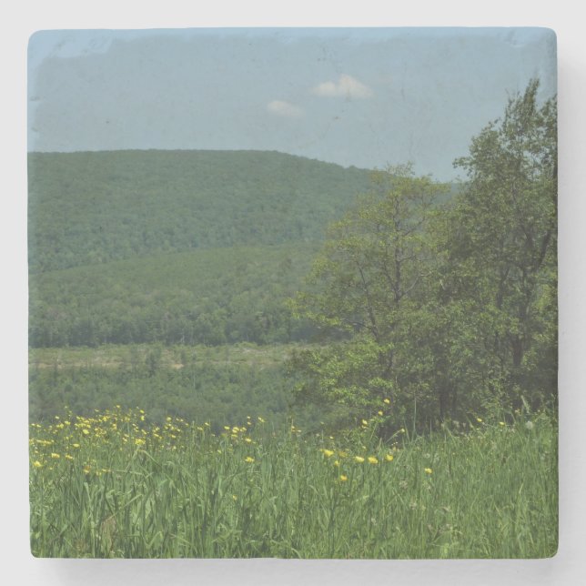 Laurel Highlands Pennsylvania Summer Photography Stone Coaster (Front)