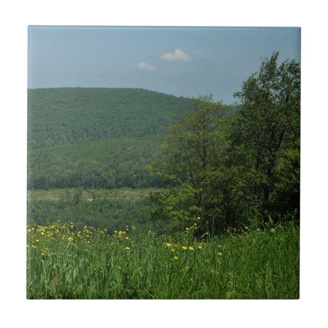 Laurel Highlands Pennsylvania Summer Photography Tile (Front)