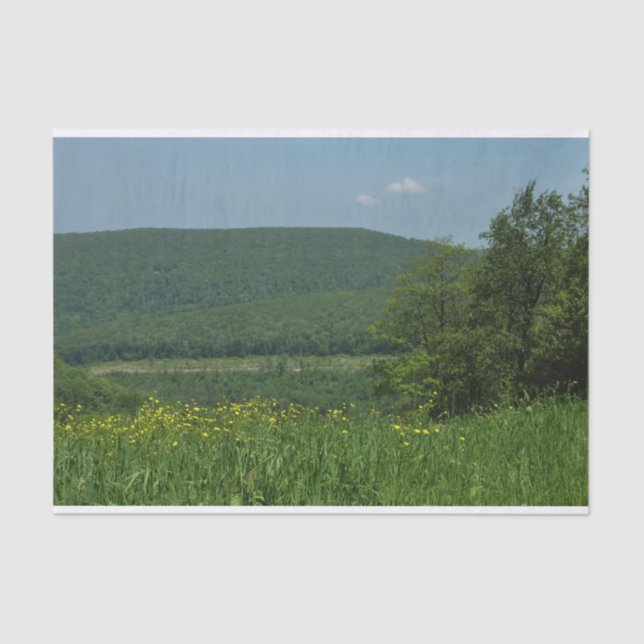 Laurel Highlands Pennsylvania Summer Photography Tissue Paper (Front)