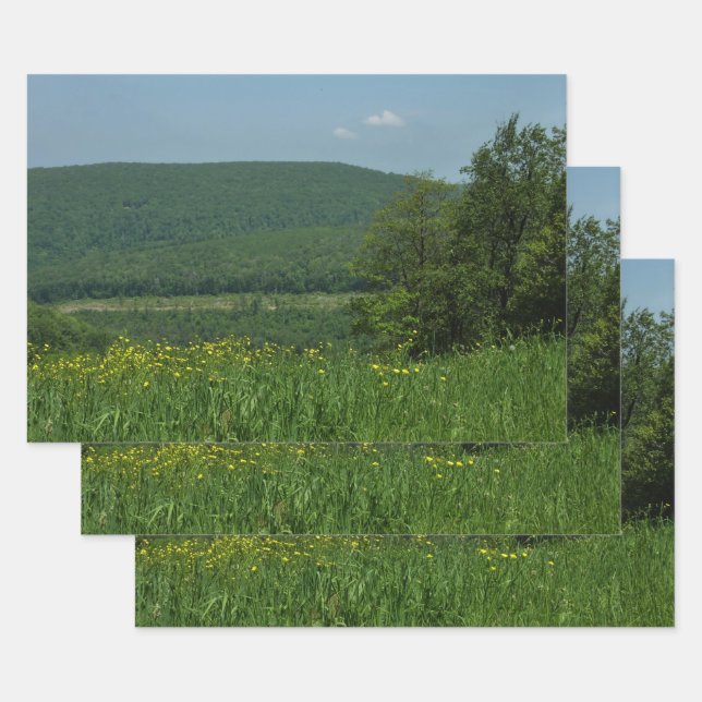 Laurel Highlands Pennsylvania Summer Photography Wrapping Paper Sheet (Set)