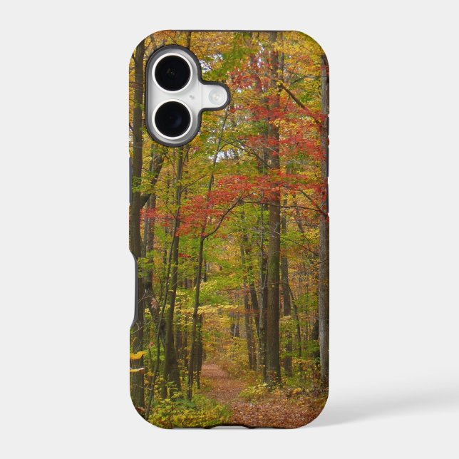 Laurel Hill Trail in Fall (Back)