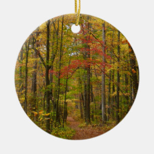 Laurel Hill Trail in Fall Ceramic Tree Decoration
