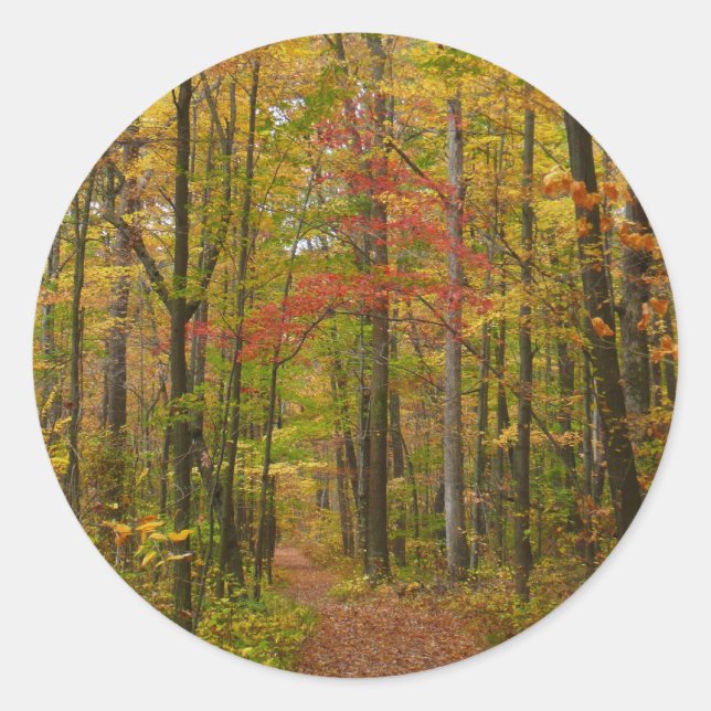 Laurel Hill Trail in Fall Classic Round Sticker (Front)