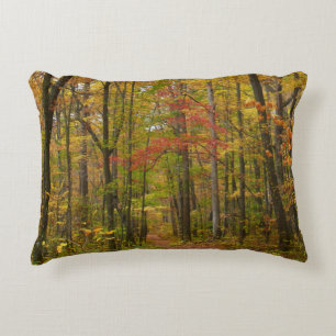 Laurel Hill Trail in Fall Decorative Cushion