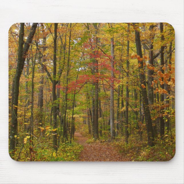 Laurel Hill Trail in Fall Mouse Mat (Front)