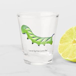 Laurel Sphinx Caterpillar Shot Glass
