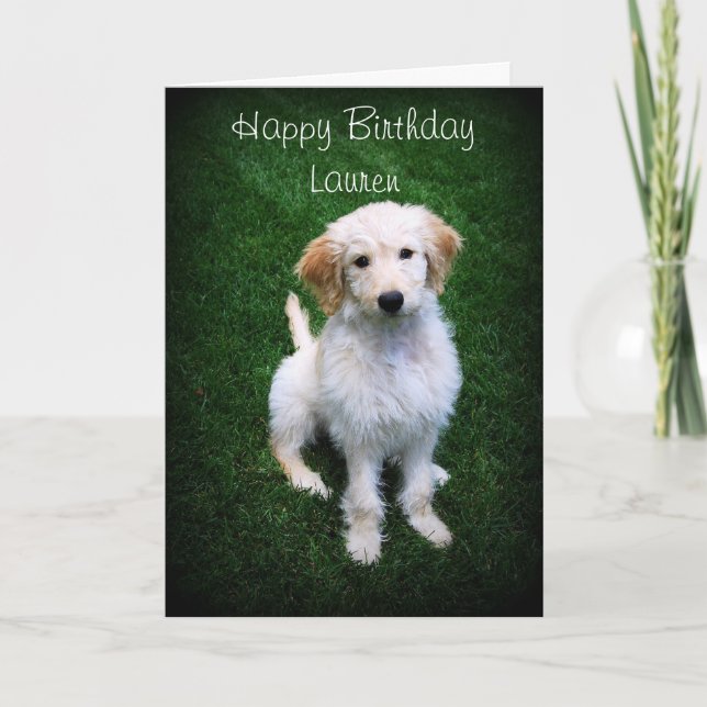 Lauren Happy Birthday Golden Doodle Puppy Card (Front)