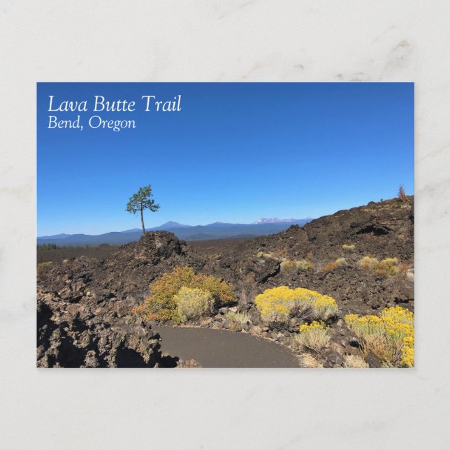 Lava Butte Trail, Oregon Postcard (Front)