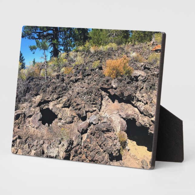 Lava Cast Forest, OR Plaque (Side)