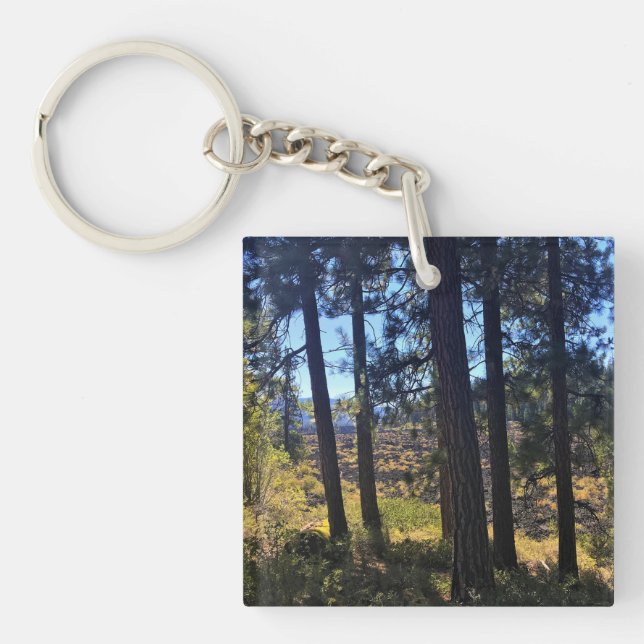 Lava Cast Forest, Oregon Key Ring (Front)