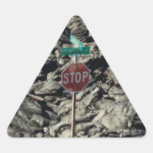 Lava Stop Photo Triangle Sticker