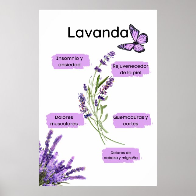 Lavanda y sus beneficios en español poster (Front)