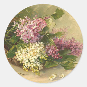 Lavander and White Beauty Classic Round Sticker