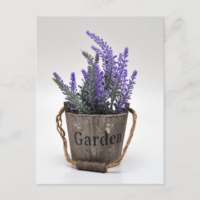 lavander postcard (Front)