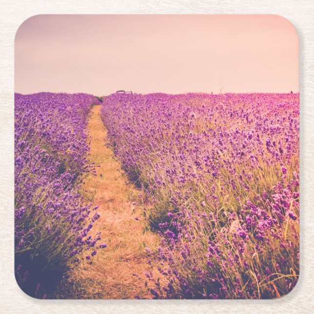 Lavander Square Paper Coaster (Front)