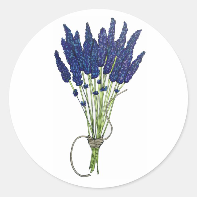 Lavandula Lavender Bunch Herb Purple Flower Garden Classic Round Sticker (Front)