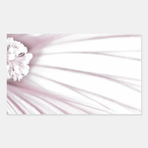 Lavatera Flower Macro Rectangular Sticker
